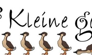 Gansies doen dit weer!